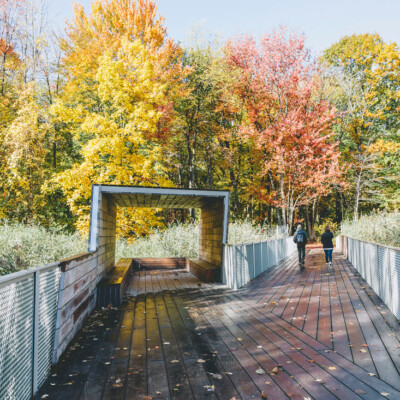 Bois De Liesse Nature Park – Expanded Mesh Landscape Architecture ...