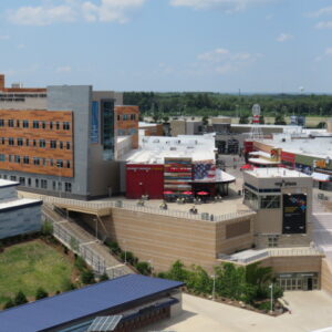 AMICO Successfully Implements APEX Architectural Mesh Products for Red Robin
