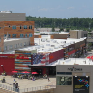 AMICO Successfully Implements APEX Architectural Mesh Products for Red Robin